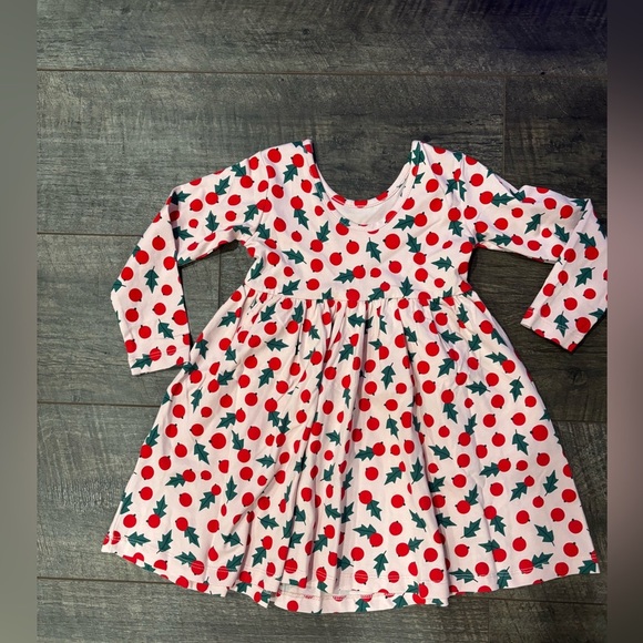 Hanna Anderson Christmas Holly long sleeve dress - Picture 2 of 3